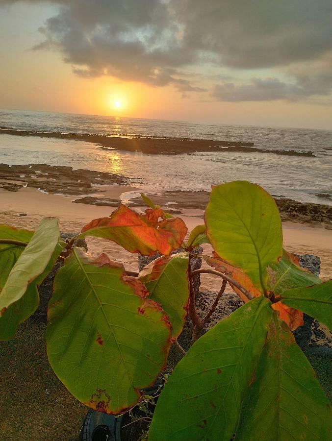 Pousada Tropicalia Tranquilidade A Beira Mar Santa Cruz Cabrália Exteriör bild